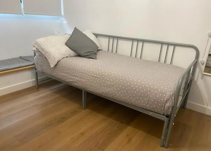 Tulipanes * ア・コルーニャ